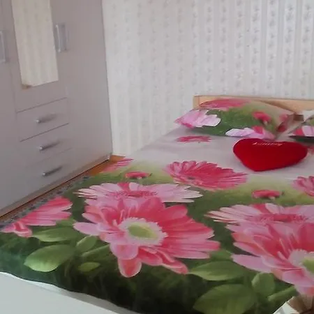 Frendlen Papiniidu Daire *